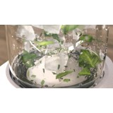 Philips 5000 serie Eco Conscious Edition HR2500/00 frullatore