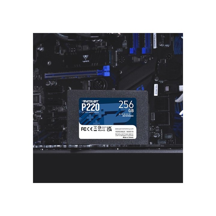 Patriot Memory P220 256GB 2.5 seriale ATA III
