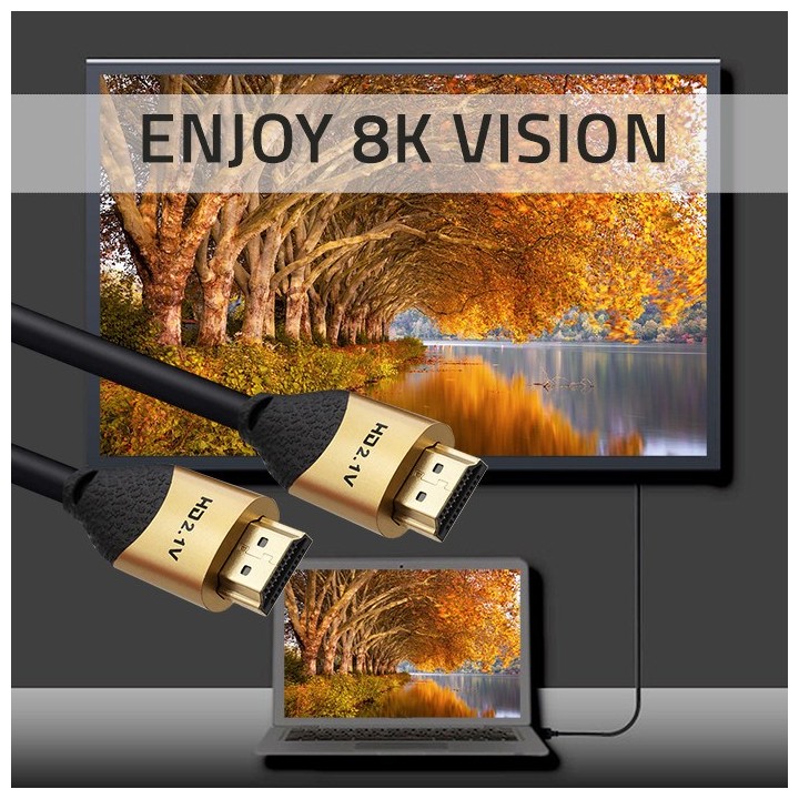 Qoltec 50355 HDMI v2.1 cavo ultraveloce 8K | 60Hz | 28AWG | GOLD | 2m