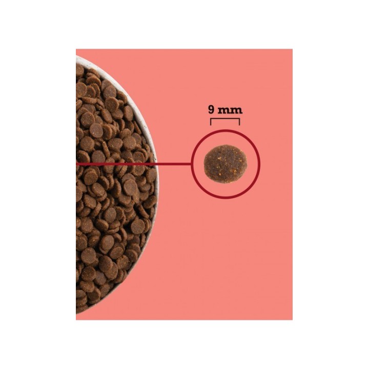 ACANA Highest Protein Indoor Cat - cibo secco per gatti - 4 5kg