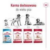 ROYAL CANIN Adult Medium - cibo secco per cani - 4kg