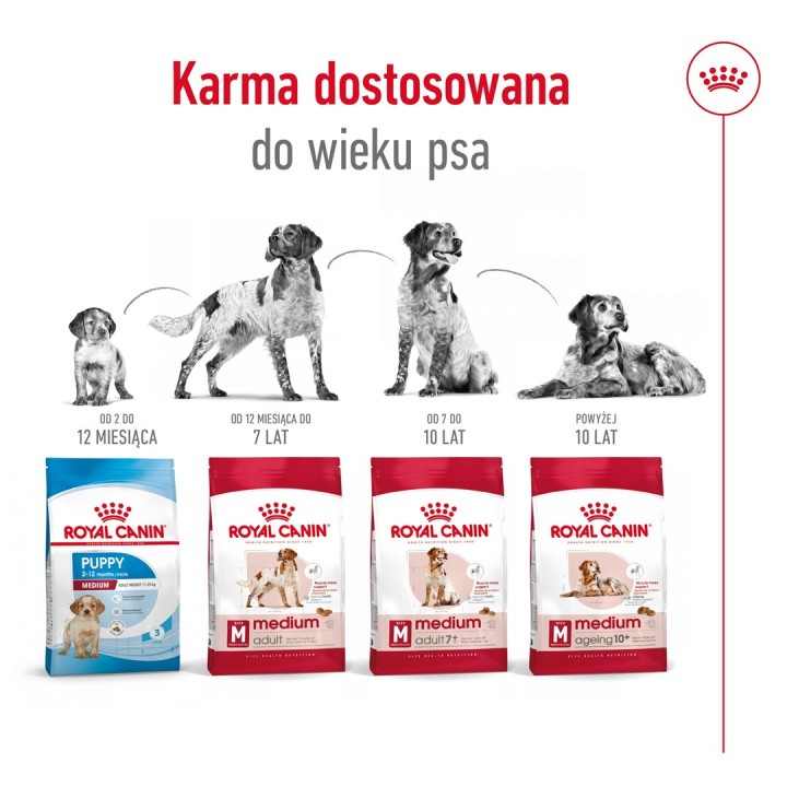 ROYAL CANIN Adult Medium - cibo secco per cani - 4kg