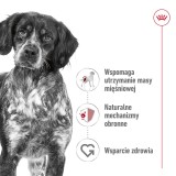 ROYAL CANIN Adult Medium - cibo secco per cani - 4kg