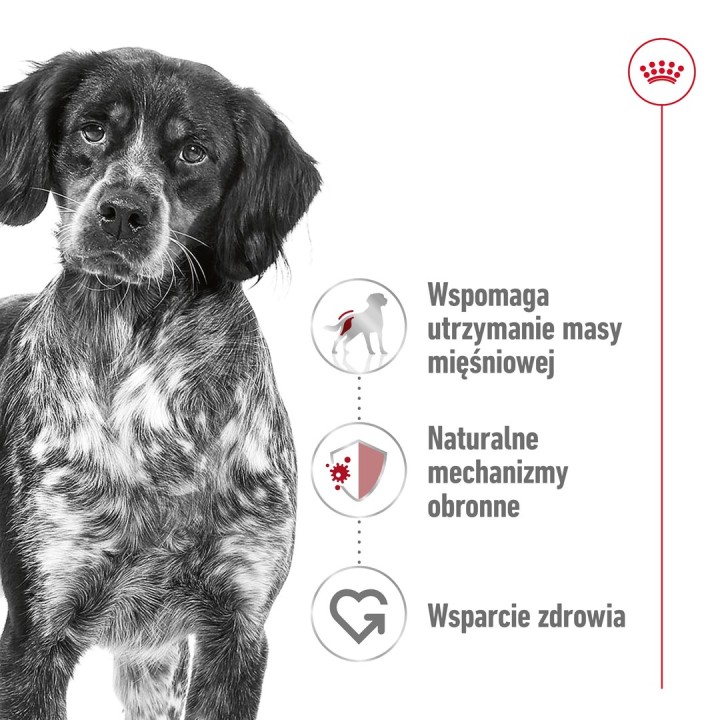 ROYAL CANIN Adult Medium - cibo secco per cani - 4kg