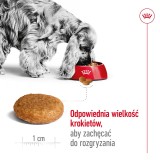 ROYAL CANIN Adult Medium - cibo secco per cani - 4kg