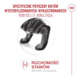 ROYAL CANIN Ageing 11+ Sterilised - cibo secco per gatti - 4kg