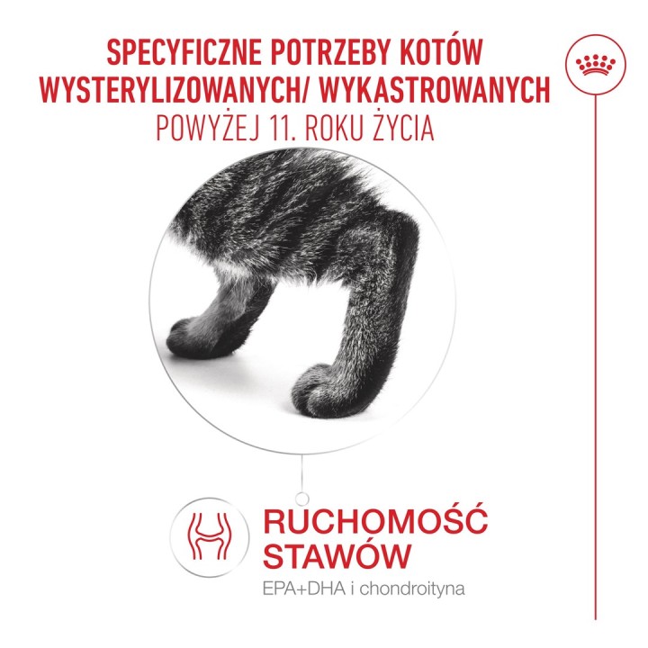 ROYAL CANIN Ageing 11+ Sterilised - cibo secco per gatti - 4kg