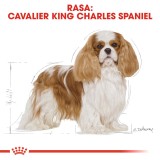 Cibo per cani Royal Canin SHN Breed Cavalier K C 1.5 kg