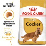 ROYAL CANIN Adulto Cocker - cibo secco per cani - 12 kg