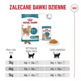 ROYAL CANIN Ageing 11+ - cibo secco per gatti - 2kg