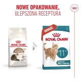 ROYAL CANIN Ageing 11+ - cibo secco per gatti - 2kg