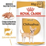 ROYAL CANIN Chihuahua - confezione 12x85g