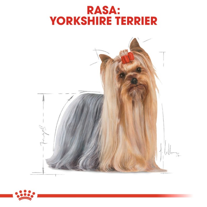 ROYAL CANIN BHN Yorkshire Terrier Adulto - cibo secco per cani - 3kg