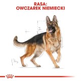 ROYAL CANIN BHN German Shepherd Adult cibo secco per cani - 11kg