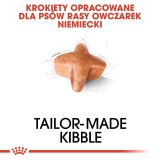 ROYAL CANIN BHN German Shepherd Adult cibo secco per cani - 11kg