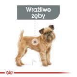 ROYAL CANIN CCN Mini Dental Care - cibo secco per cani adulti - 3kg