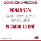 ROYAL CANIN Digestive Care Adult - cibo secco gatti - 400g