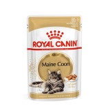 ROYAL CANIN FBN Maine Coon - cibo umido per gatti - bustina 12x 85g