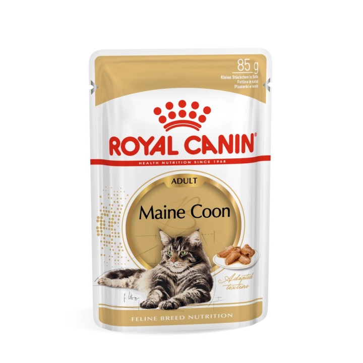 ROYAL CANIN FBN Maine Coon - cibo umido per gatti - bustina 12x 85g