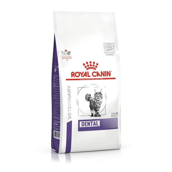 ROYAL CANIN Dental - cibo secco per gatti - 1 5kg