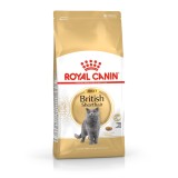 ROYAL CANIN FBN British Shorthair Adult cibo secco gatti - 10 kg