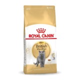ROYAL CANIN FBN British Shorthair Adult cibo secco gatti - 10 kg