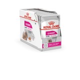 ROYAL CANIN Exigent cibo umido per cani Patè 12x85 g