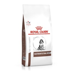 ROYAL CANIN Gastrointestinal Puppy - cibo secco cani - 2 5kg