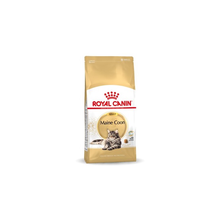 ROYAL CANIN FBN Maine Coon Adult cibo secco per gatti - 10kg