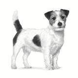 ROYAL CANIN Gastrointestinale a basso contenuto di grassi Small VHN - cibo secco per cani - 3 5kg