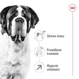 ROYAL CANIN Giant Adult - cibo secco per cani - 15 kg