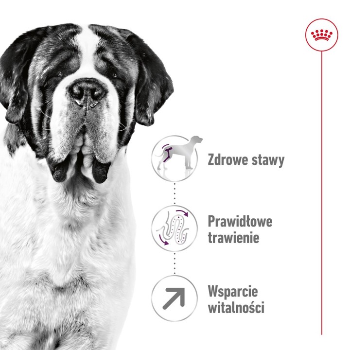 ROYAL CANIN Giant Adult - cibo secco per cani - 15 kg