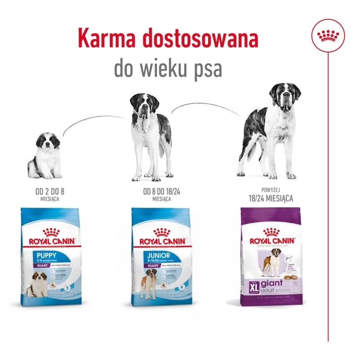 ROYAL CANIN Giant Adult - cibo secco per cani - 15 kg