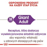 ROYAL CANIN Giant Adult - cibo secco per cani - 15 kg
