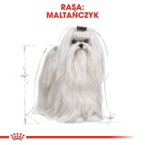 ROYAL CANIN Maltese Adult - cibo secco cani - 1 5 kg