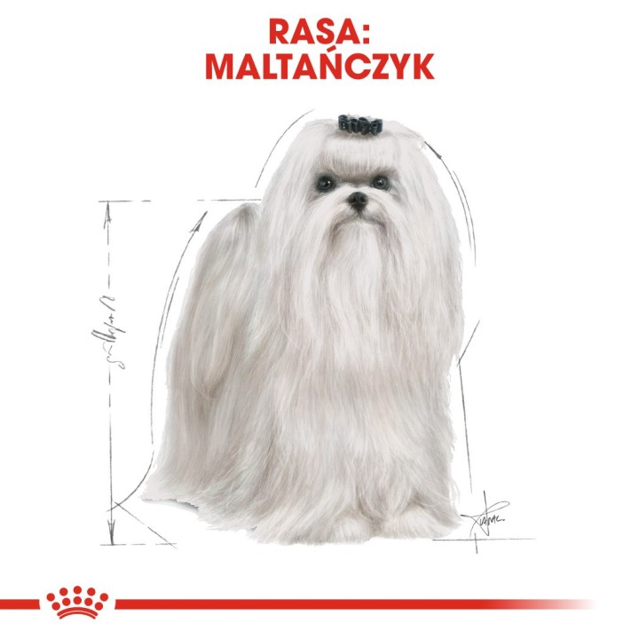 ROYAL CANIN Maltese Adult - cibo secco cani - 1 5 kg