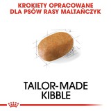 ROYAL CANIN Maltese Adult - cibo secco cani - 1 5 kg