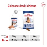 ROYAL CANIN Maxi Ageing Loaf - cibo umido per cani - 410g
