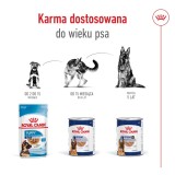 ROYAL CANIN Maxi Ageing Loaf - cibo umido per cani - 410g