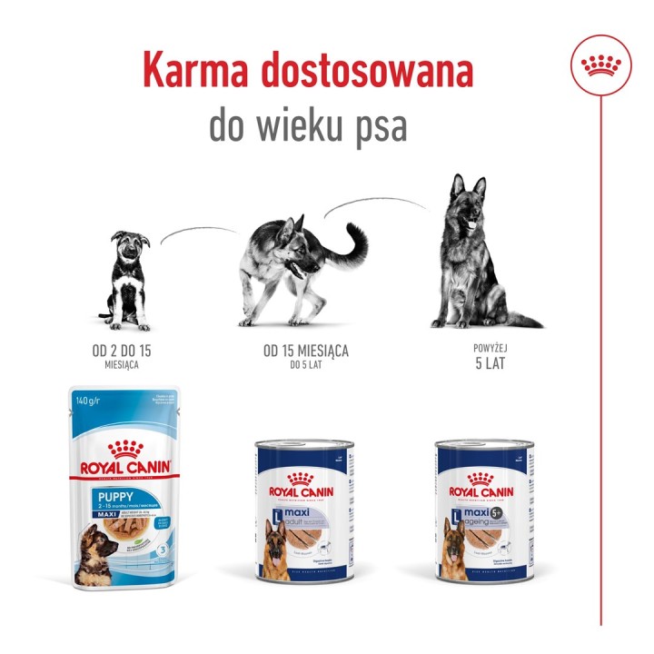 ROYAL CANIN Maxi Ageing Loaf - cibo umido per cani - 410g