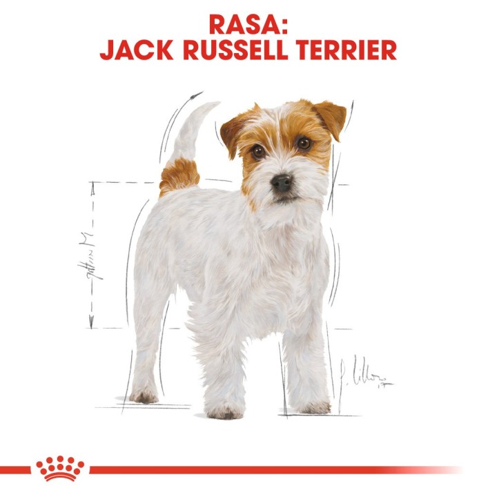 ROYAL CANIN Jack Russell Adulto - Cibo secco per cani - 7.5 kg