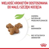 ROYAL CANIN Kitten - cibo secco per gatti - 2 kg