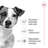 ROYAL CANIN Mini Invecchiamento Adulto +12 - cibo secco per cani - 3 5 kg