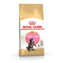 ROYAL CANIN Maine Coon Kitten- cibo secco gatti - 4 kg