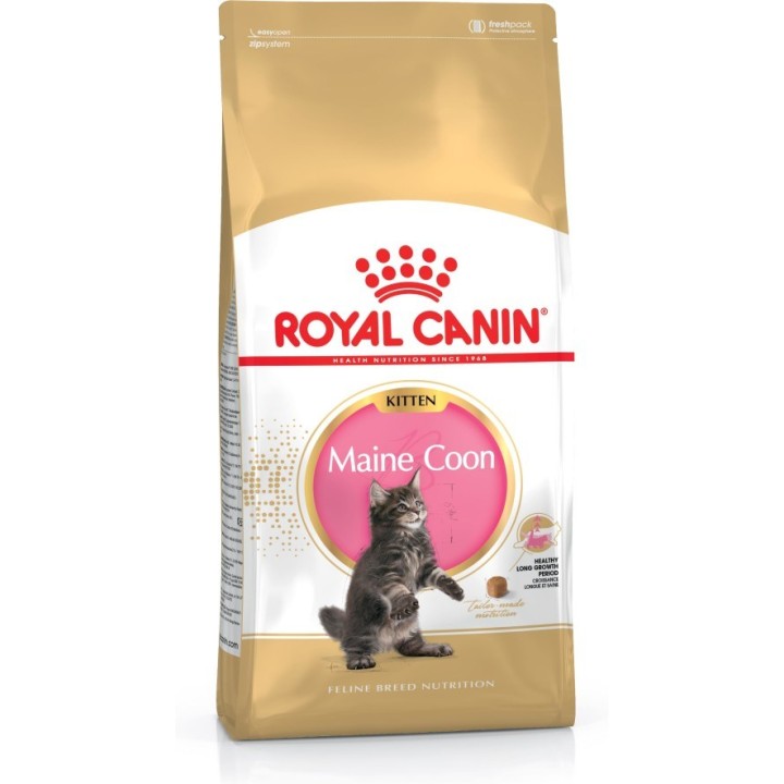 ROYAL CANIN Maine Coon Kitten- cibo secco gatti - 4 kg