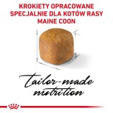 ROYAL CANIN Maine Coon Kitten- cibo secco gatti - 4 kg