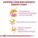 ROYAL CANIN Maine Coon Kitten- cibo secco gatti - 4 kg