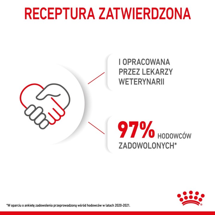 ROYAL CANIN Mini Cucciolo SHN - cibo secco per cani - 2 kg