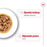 ROYAL CANIN Mini Ageing - cibo umido per cani - 12 x 85g
