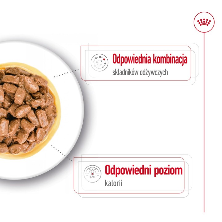 ROYAL CANIN Mini Ageing - cibo umido per cani - 12 x 85g